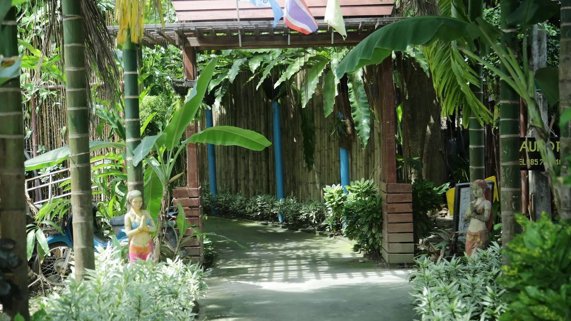 ** Hotell Oyo 585 Freedom Hostel @ Phi Phi Thailand
